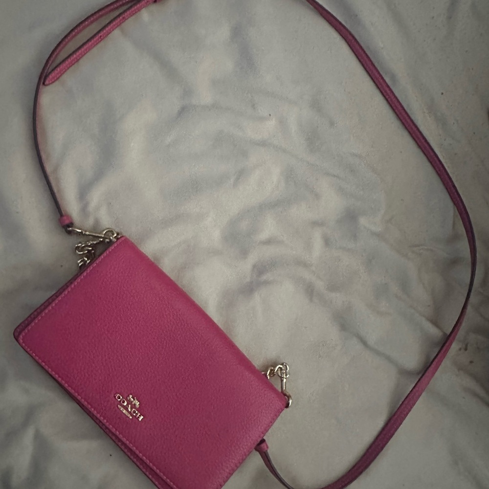 Coach fiusha bag